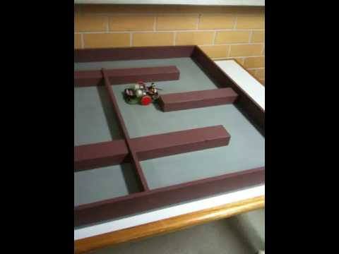 buggy vs maze