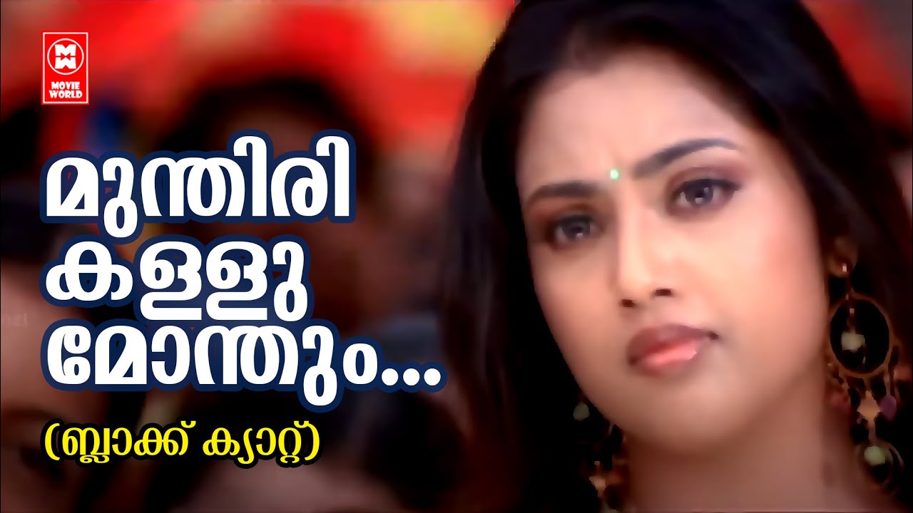 Munthiri Kallu Monthum Song  Black Cat  M Jayachandran  Afsal  Evergreen Malayalam Songs