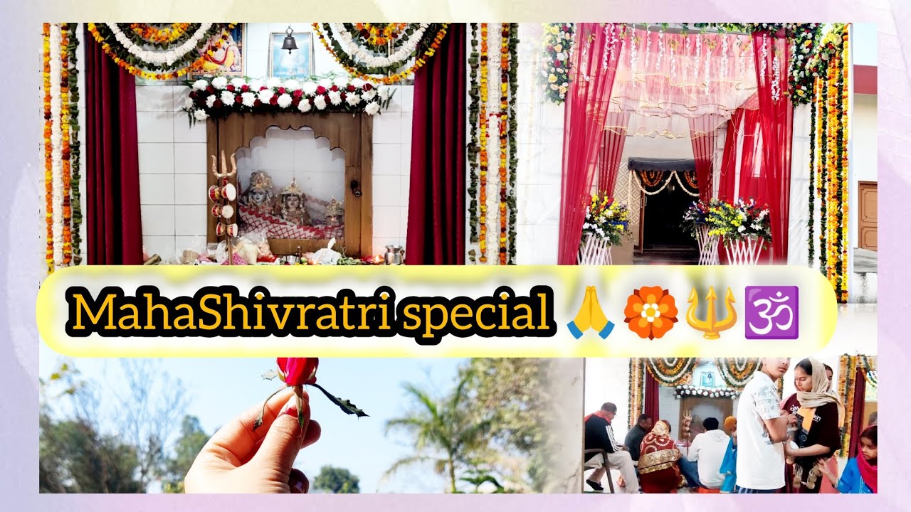 Mahashivratri special vlog 🔱🕉️🙏ll sabne milkar kiya kaam 🤗❣️