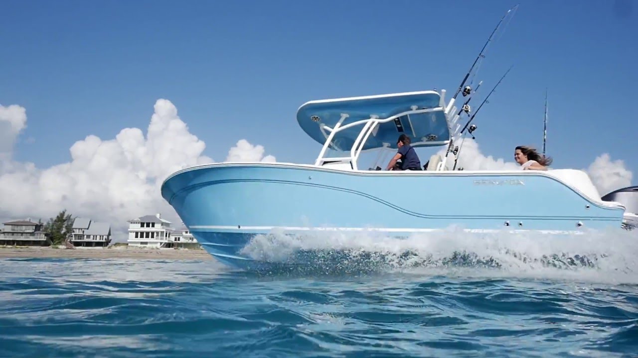 Sea Fox 246 Commander - YouTube