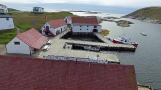 Connection, Newfoundland and Labrador Tourism