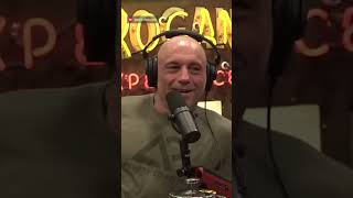 The Incredible Tale of the Redband Pepsi Spice Challenge  An Unbelievable Viral Phenomenon