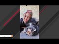 Chihuahua adopts a pig. And treats him like a horse.