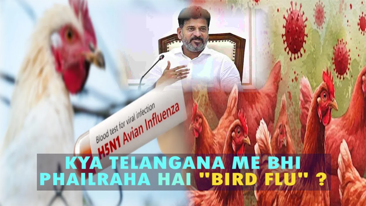 KYA TELANGANA ME BHI PHAILRAHA HAI BIRD FLU ? | Is Bird Flu Spreading in Telangana?