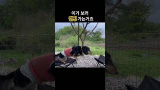 뷰가 너무 예뻤던 괴산 캠핑장🏕️