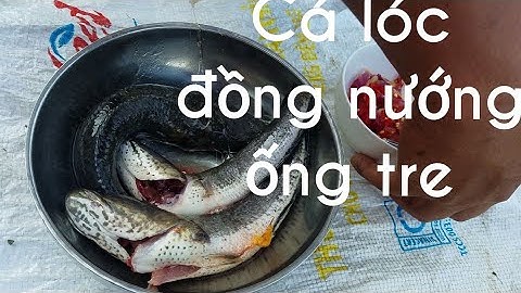 Anh nông dân  thử làm món cá lóc nướng ống tre  và cai kết....Rất ngon//nhật thành tv