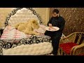 Man Lives With Pet Lion