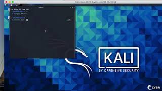 Install Docker on Kali Linux in under 3 minutes