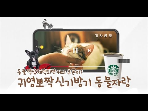 귀염뽀짝 <strong>신기방기</strong> 동물자랑