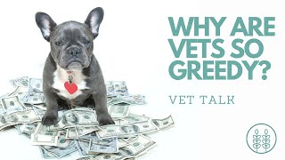 Q) Why are vets greedy?  │ Twin Trees Vet Talk (FREE VET ADVICE PODCAST)