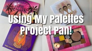 USING MY EYESHADOW PALETTES PROJECT PAN UPDATE!