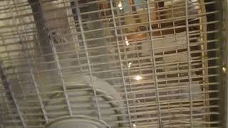 Lasko Box Fan At My Moms Aunts House