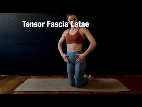 Tensor Fascia Latae