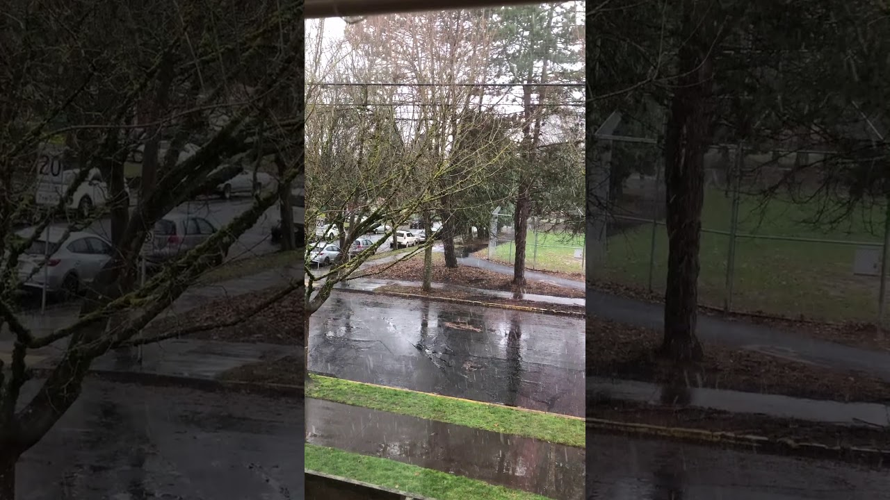 Snowing in Portland YouTube