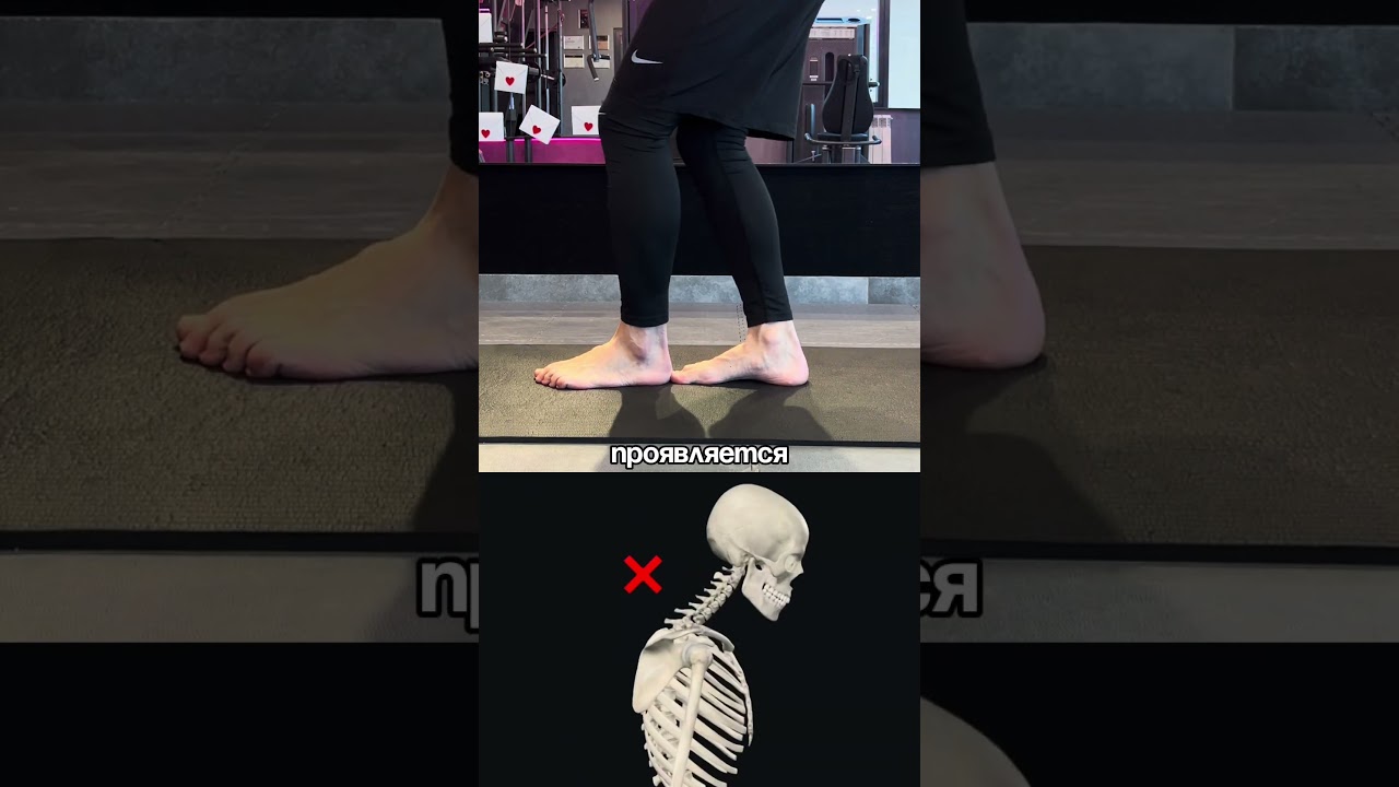 Корректор осанки на OZON: 2431252757 