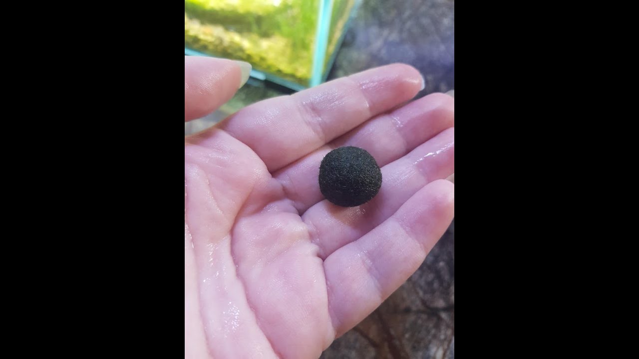 Best anime moments 2021