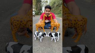 Duita Remote Control Giraffe And 2 Ta Rc Cow Unboxing Dekho😍