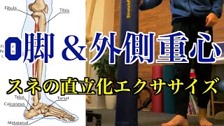 【最新版】「O脚・外側重心によるスネの歪み」「足首の捻挫する癖」を改善する！立ったまま簡単にできる「腓骨筋エクササイズ」！【愛媛県松山市　ピラティス・整体】