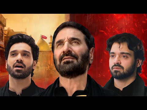Live Noha | Ali Shanawar  | Ali Jee