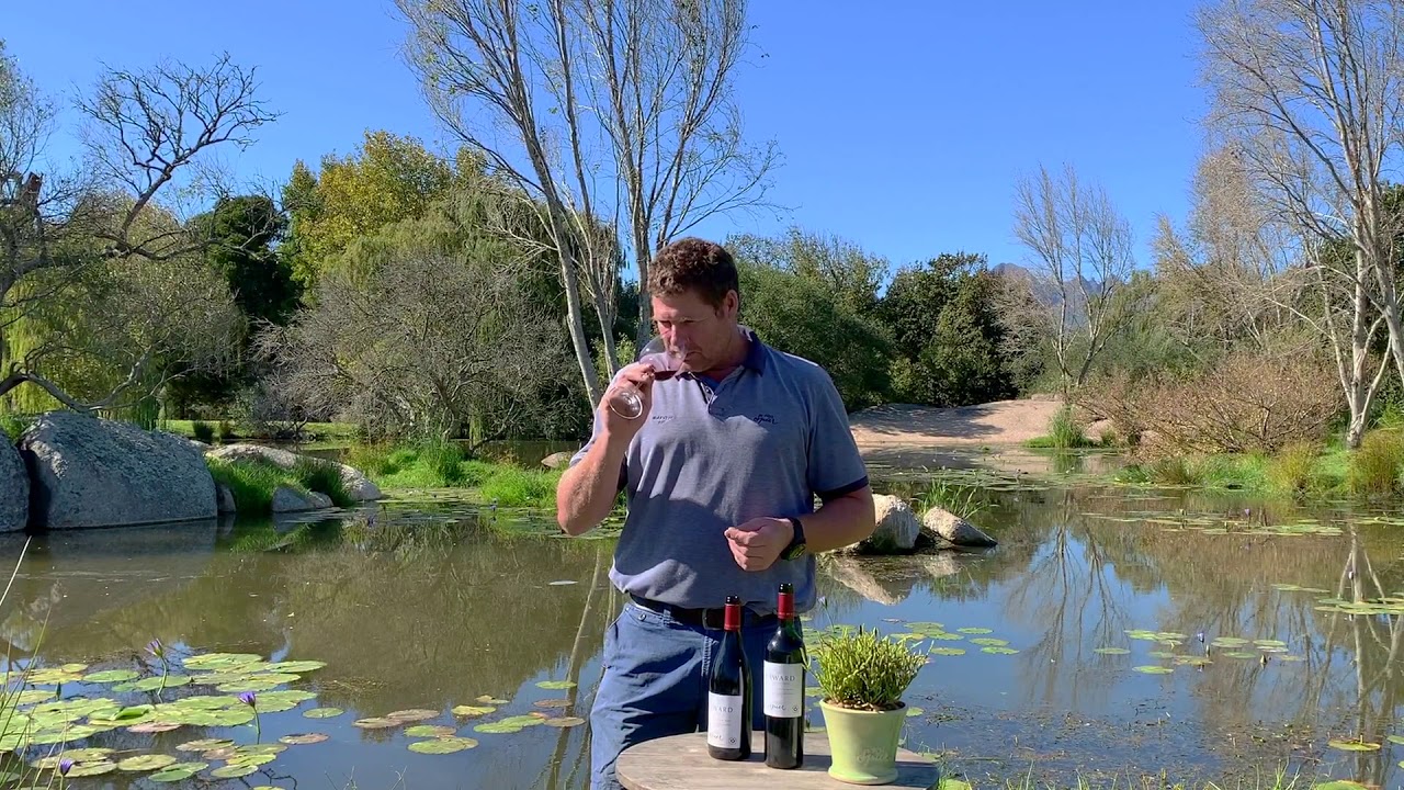 Spier Seaward Cabernet Sauvignon