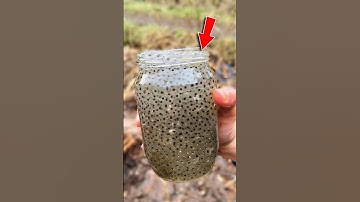 ĐỪNG NHẶT TRỨNG ẾCH | 😨 (Có Thể Bạn Chưa Biết) #dongvat