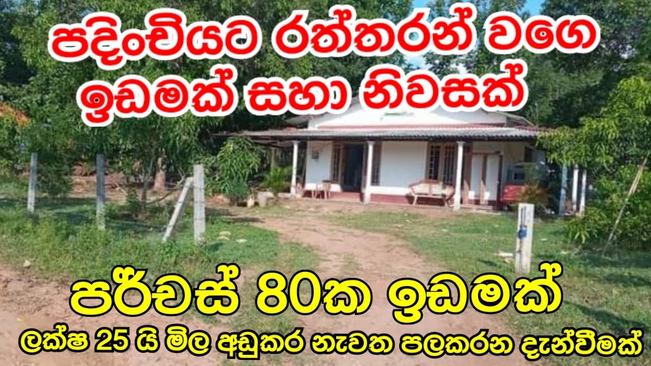 පදිංචියට රත්තරන් වගේ වටින පර්චස් 80 ක ඉඩමක් සහ නිවසක් 