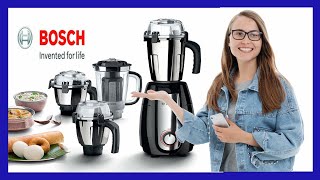 polar mixer grinder 750w price