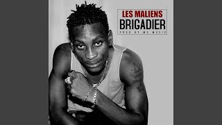 Les Maliens