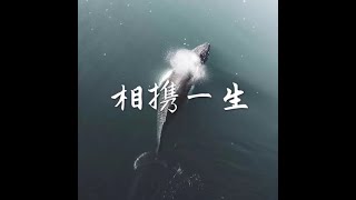 201701 相携一生40460