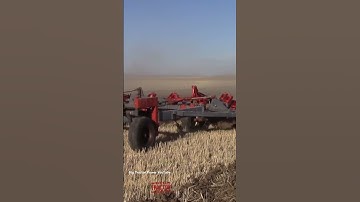 80ft FRIGGSTAD D7-80 Chisel Plow