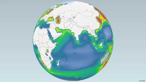 Net Community Production in the world