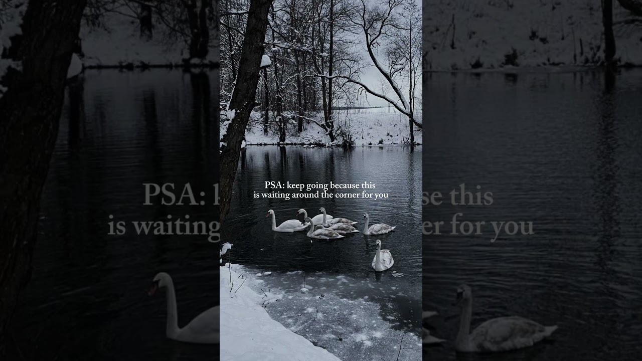 Winter is almost here…