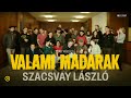 Videó borítókép