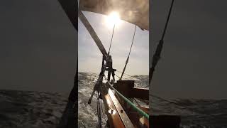 Celebrity How to Sleep and Sail 💤 Wealth