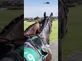 This is the important job of the Aintree Horse Catchers 👏