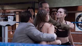 Ringo La Pelea de Su Vida Zorra y Rosa Pelean