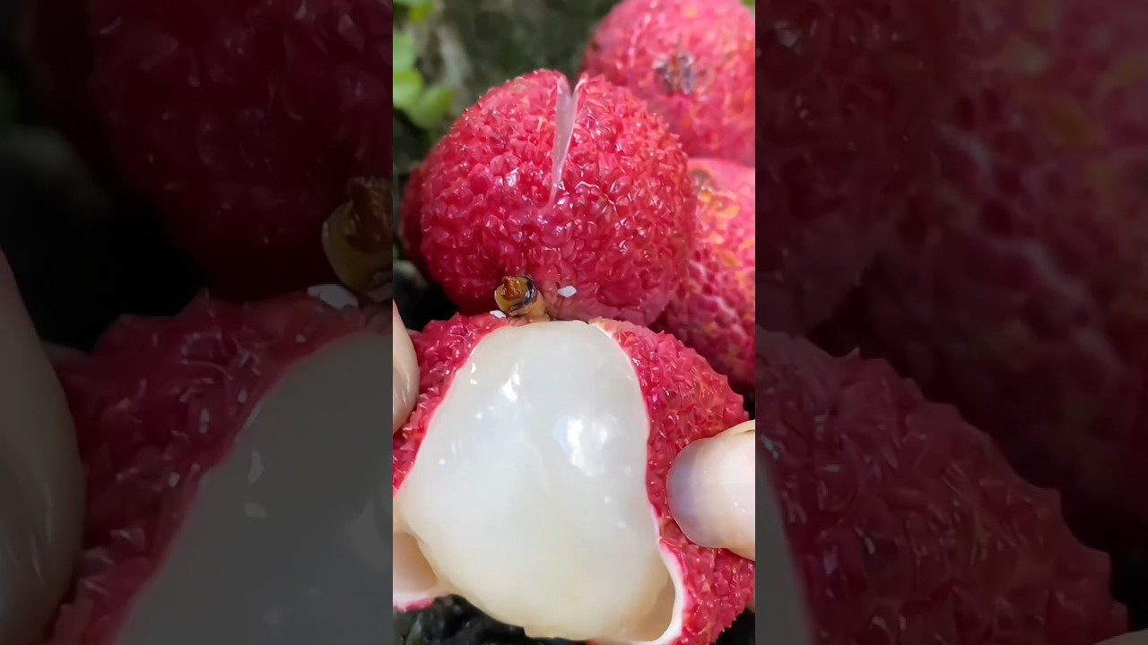 farm fresh ninja fruit cutting 