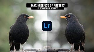 How to REALLY Use LIGHTROOM PRESETS / Do These 3 Things (+ Free LR Presets)