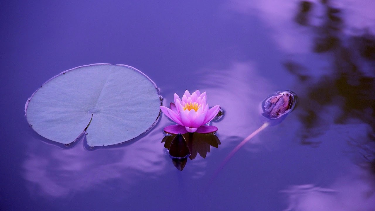 Powerful Fast Sleep And Lucid Dream | Pure Binaural Beats | Soothing Music.