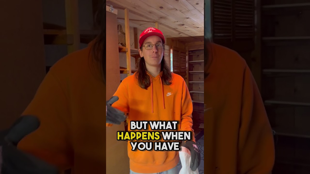 Owner built tunnel to basement for feral cats. 