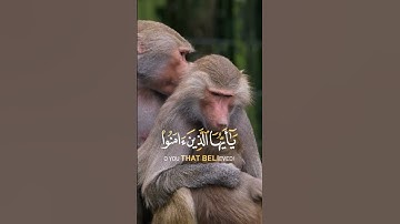 تلاوه خاشعه #القرآن_الكريم #يوم_الجمعة #الصلاة_على_النبي