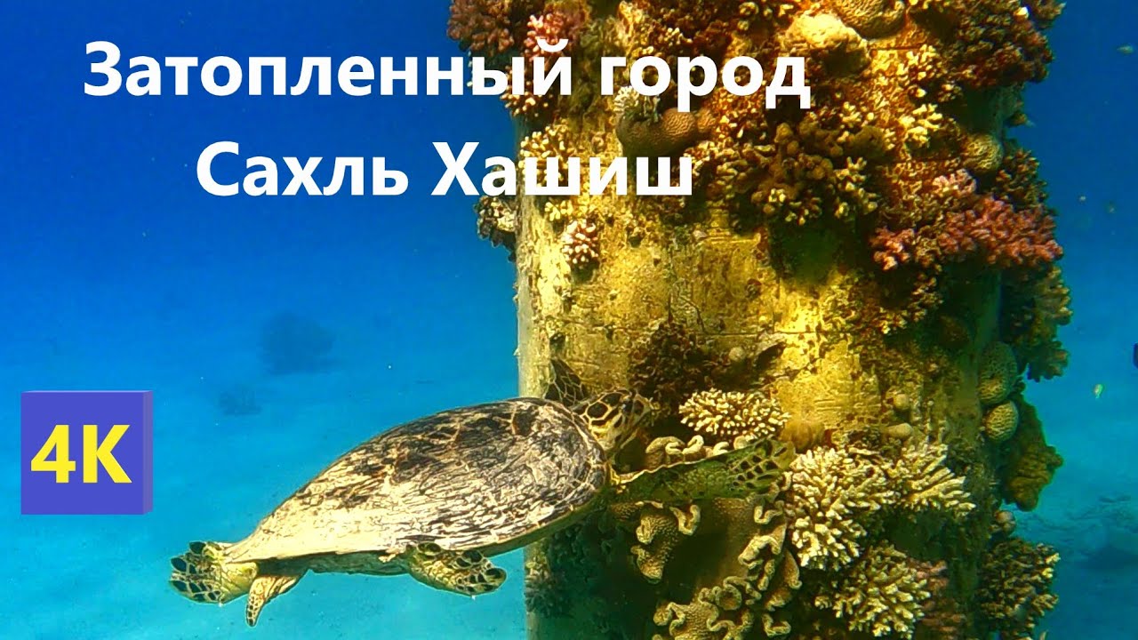 4K Pyramisa, Serenity Sky Arc, Sahl Hasheesh. Затопленный город