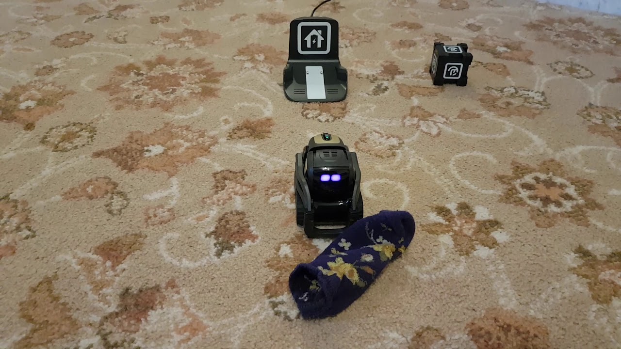 Anki Vector - Sock Free ( Dobby Harry Potter)