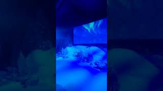 Backyard Cinema The Most Magic Place To Watch A Movie London Vlog