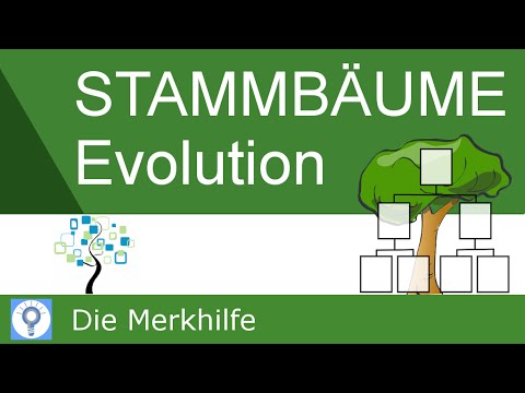 Stammbäume erstellen & verstehen - Prinzipien der Stammbaumentwicklung | Evolution 22