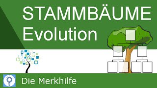 Creating & Understanding Family Trees - Principles of Family Tree Development | Evolution 22 screenshot 2