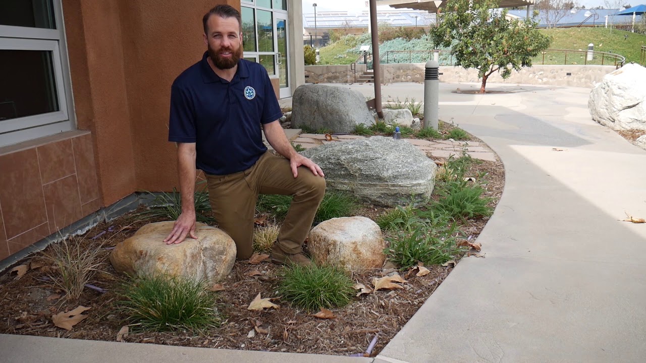 Tip 3: Look & Listen for Drip Irrigation Leaks