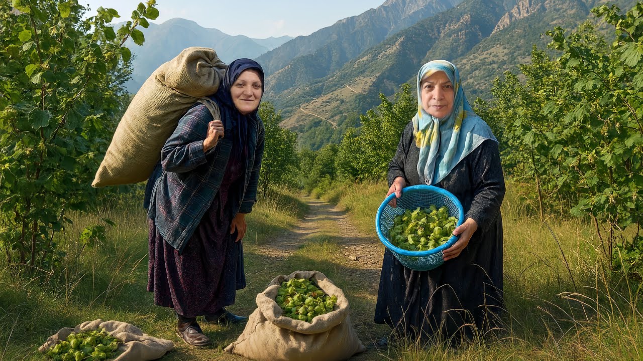Harvesting Fresh Hazelnuts in the Iranian Mountains | Traditional Rural Farming Life