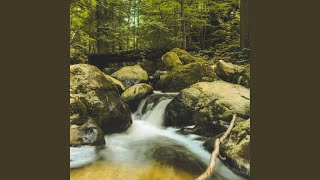 Download Lagu CULIK AKU DONG MP3