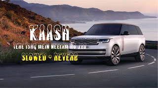 Kaash  Tere Ishq Mein Neelam Ho Jao (Slowed   Reverb) Gulam Jugni